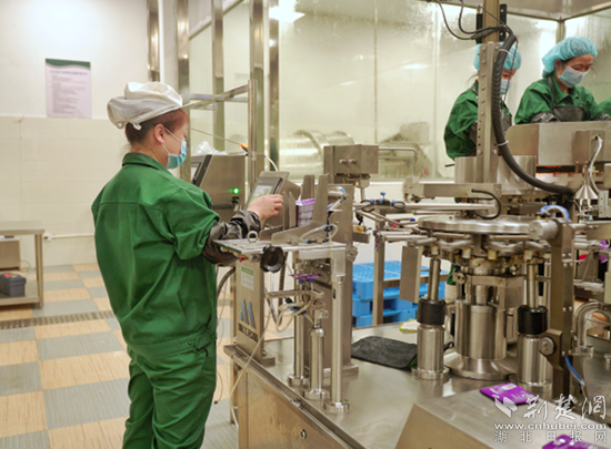 興龍生態(tài)觀光工廠。通訊員 劉承群 供圖_副本.png.png