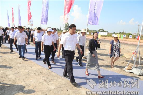 IMG_6615.jpg IMG_6615.jpg